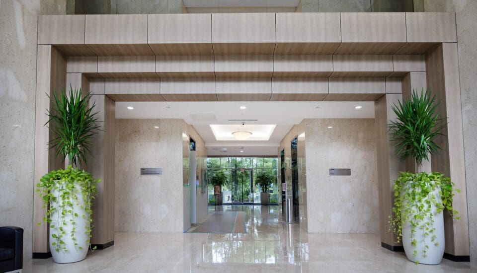 Architectural wall feature in Florida office project